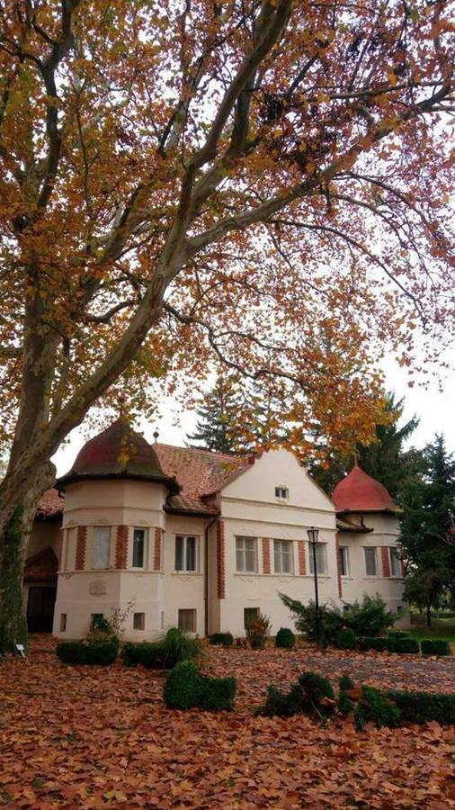 Kastelyszallo Mateszalka Bed & Breakfast Ngoại thất bức ảnh